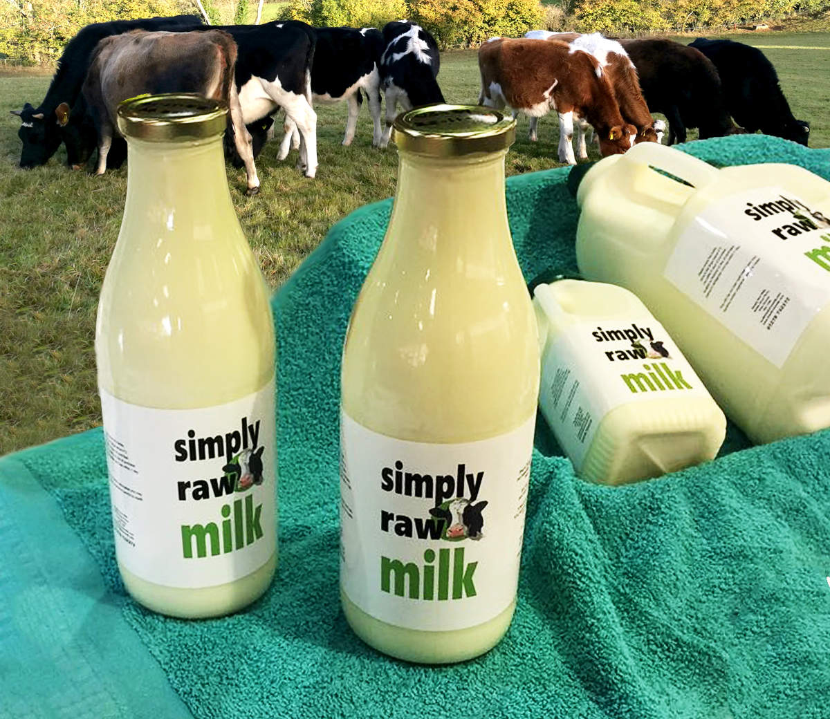 Simply Raw Milk - with the cows
